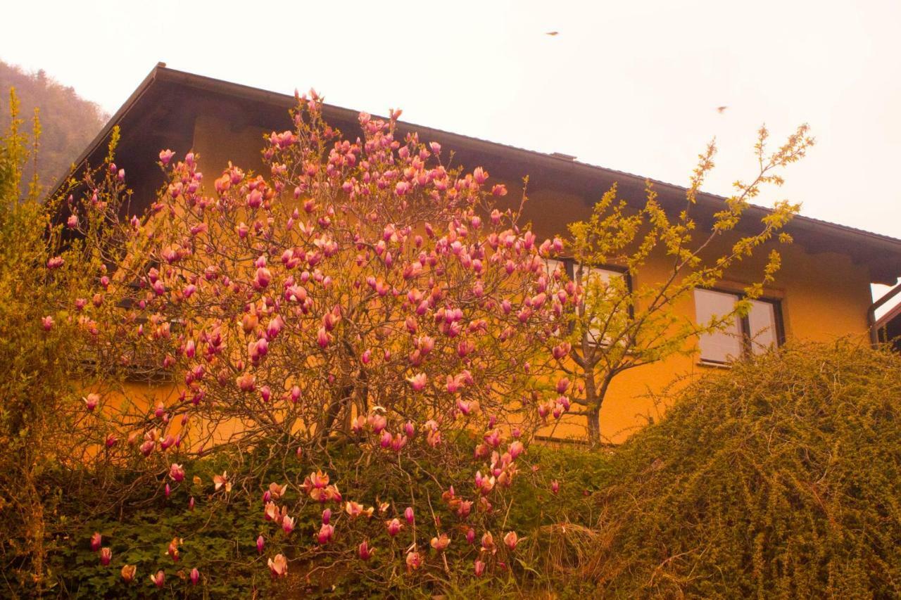 Hotel Na Kopitarjevi Laško Zewnętrze zdjęcie