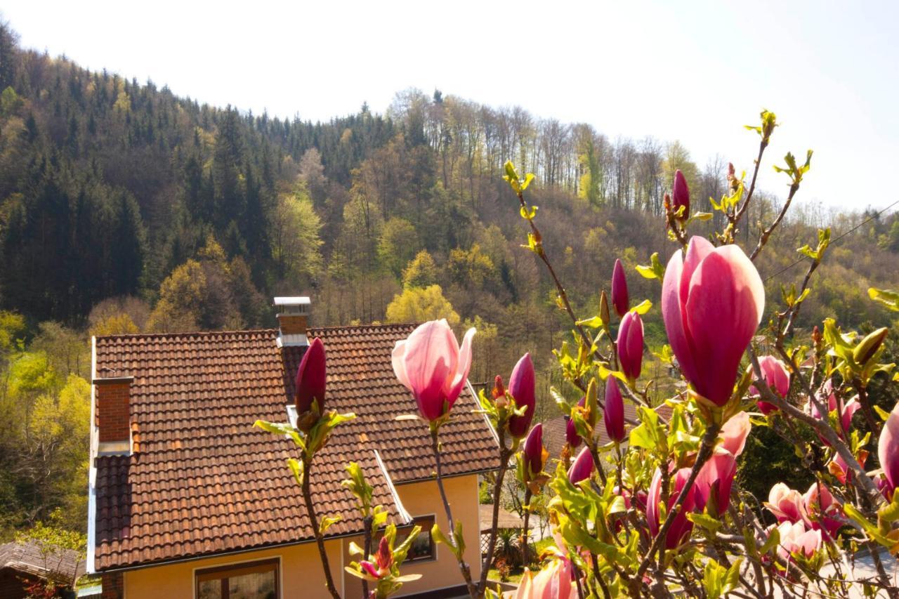 Hotel Na Kopitarjevi Laško Zewnętrze zdjęcie