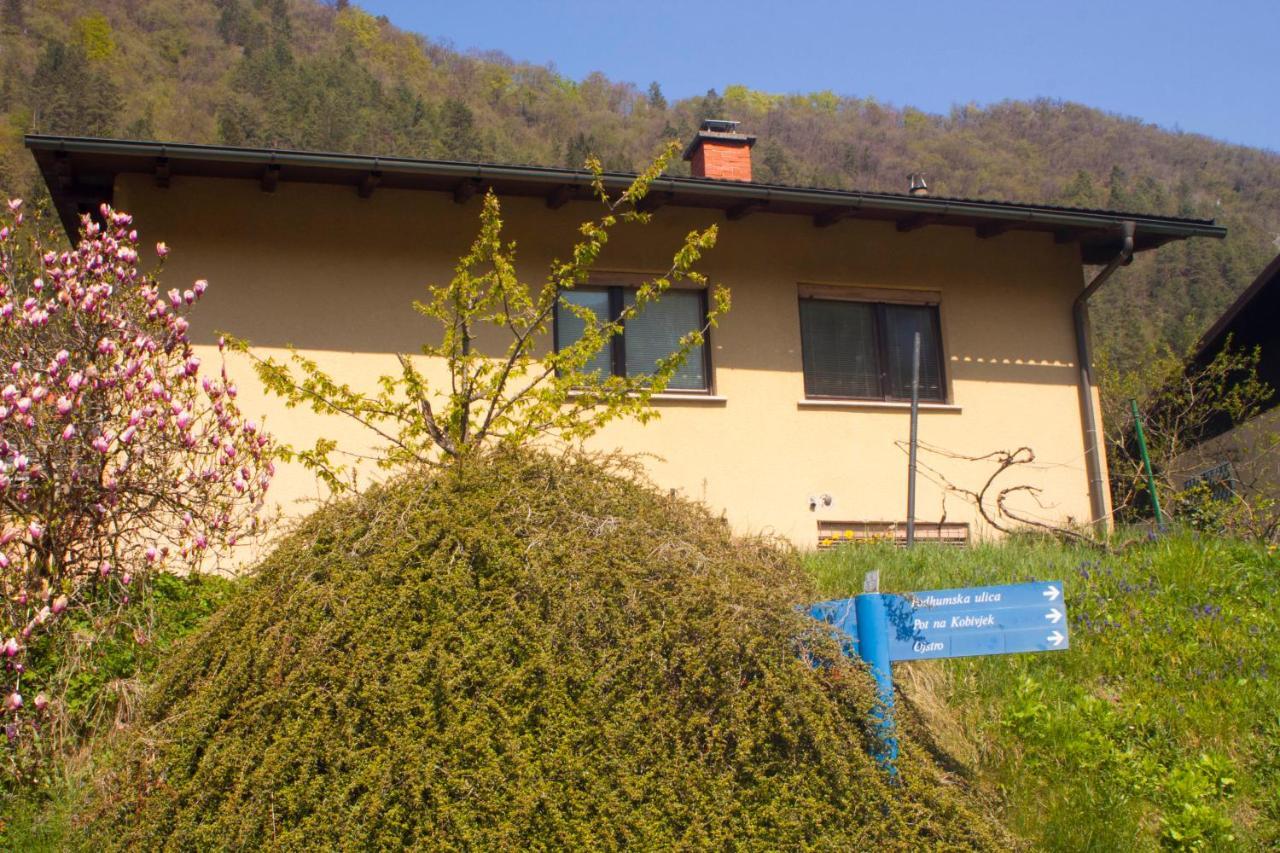 Hotel Na Kopitarjevi Laško Zewnętrze zdjęcie